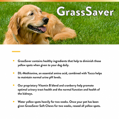 NaturVet GrassSaver Plus Enzymes Soft Chews for Dogs