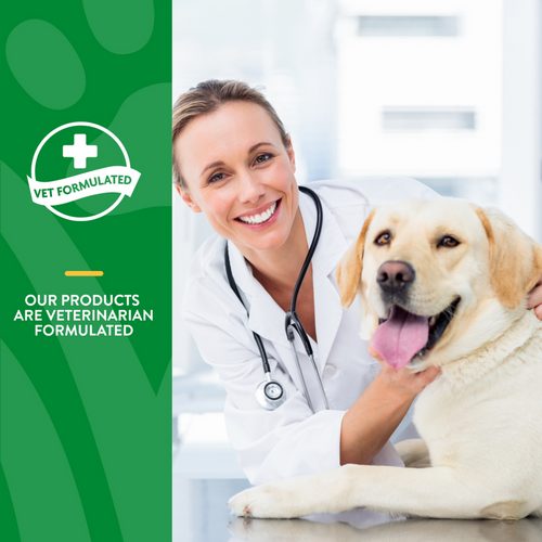 NaturVet Advanced Probiotics & Enzymes Soft Chews for Dogs