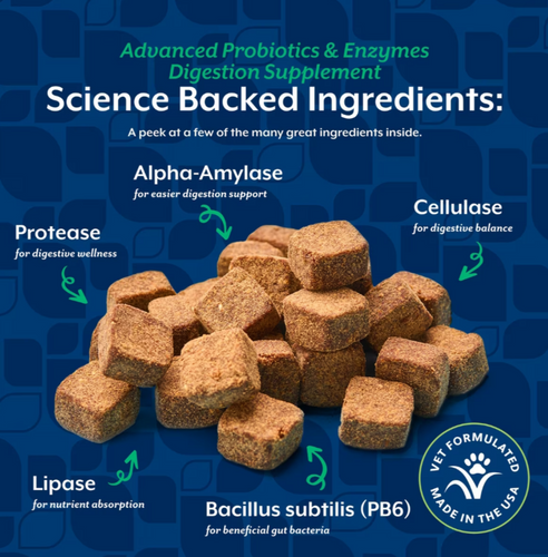 NaturVet Advanced Probiotics & Enzymes Soft Chews for Dogs