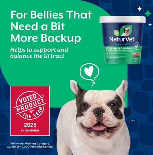 NaturVet Advanced Probiotics & Enzymes Soft Chews for Dogs