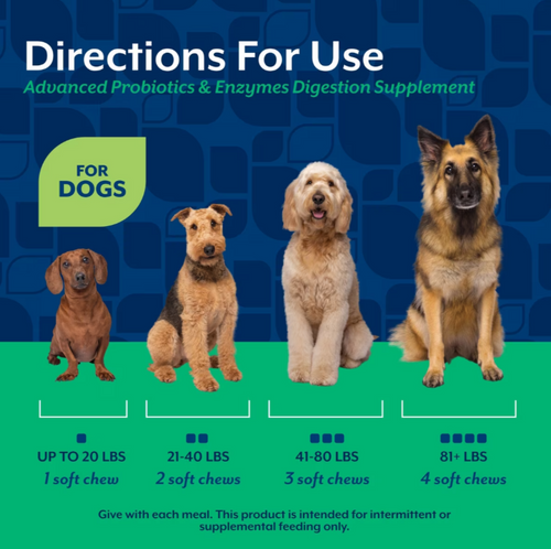 NaturVet Advanced Probiotics & Enzymes Soft Chews for Dogs