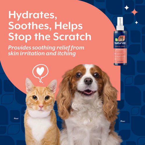 NaturVet Septiderm-V Skin Care Bath for Dogs & Cats