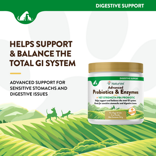 NaturVet Advanced Vet Strength PB6 Probiotics & Enzymes Sensitive Stomach & Digestive Aid Powder for Dogs & Cats