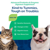 NaturVet Advanced Vet Strength PB6 Probiotics & Enzymes Sensitive Stomach & Digestive Aid Powder for Dogs & Cats