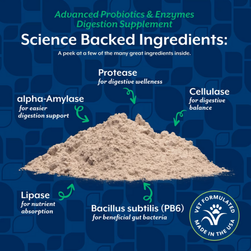 NaturVet Advanced Vet Strength PB6 Probiotics & Enzymes Sensitive Stomach & Digestive Aid Powder for Dogs & Cats