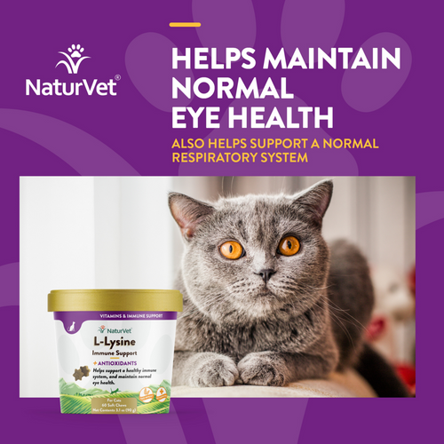 NaturVet L-Lysine Immune Support Plus Antioxidants Soft Chews for Cats