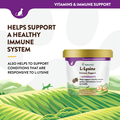 NaturVet L-Lysine Immune Support Plus Antioxidants Soft Chews for Cats