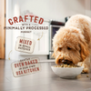 Stella & Chewy's SuperBlends Raw Blend Wholesome Grains Cage Free Chicken & Duck Recipe with Superfoods