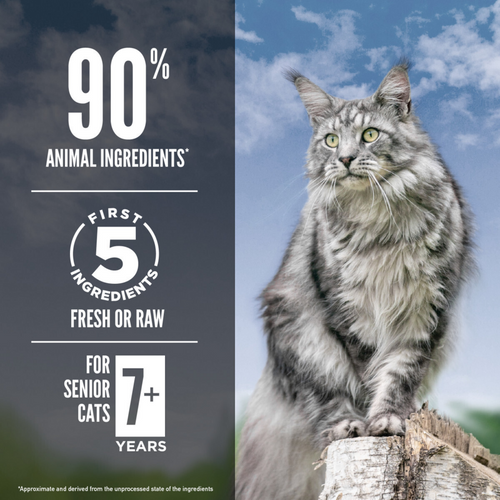 Orijen Dry Senior Cat Food Grain Free Premium High Protein Fresh & Raw Animal Ingredient Guardian Senior
