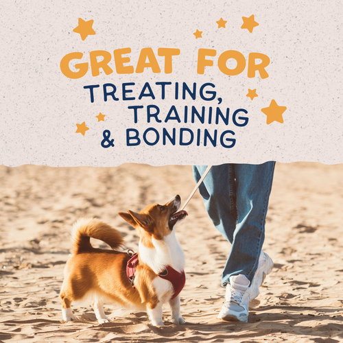 Natural Balance Rewards Crunchy Biscuits Dog Treats for Small Breeds with Real Duck