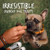 Fruitables Skinny Minis Rotisserie Chicken Flavor Soft & Chewy Dog Treats