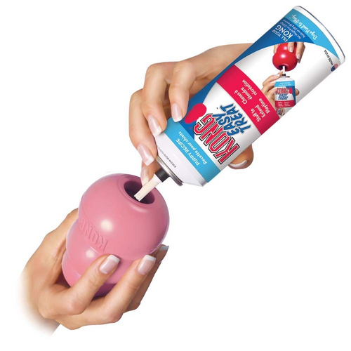 Kong Puppy Toy
