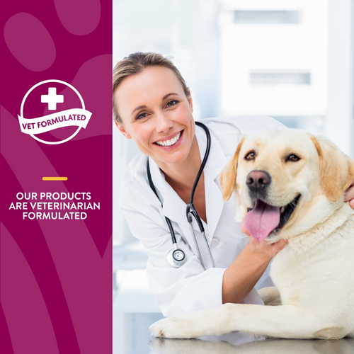 NaturVet Glucosamine DS Plus Level 2 Functional Soft Chews for Dogs