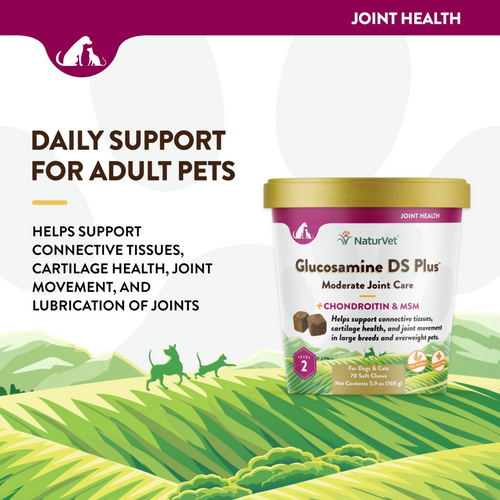 NaturVet Glucosamine DS Plus Level 2 Functional Soft Chews for Dogs