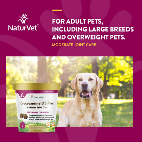 NaturVet Glucosamine DS Plus Level 2 Functional Soft Chews for Dogs