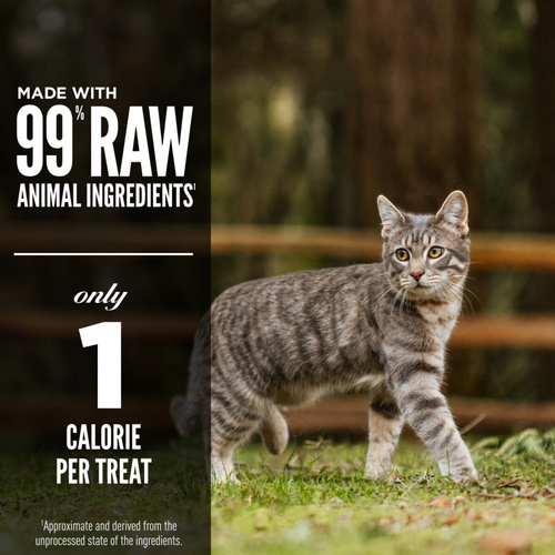 ORIJEN Freeze Dried Original Cat Treats