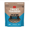 Cloud Star Tricky Trainers Crunchy Salmon Dog Treats