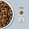 Acana Wholesome Grains Sea to Stream Fish & Grains Dry Dog Food Herring, Mackerel & Catfish