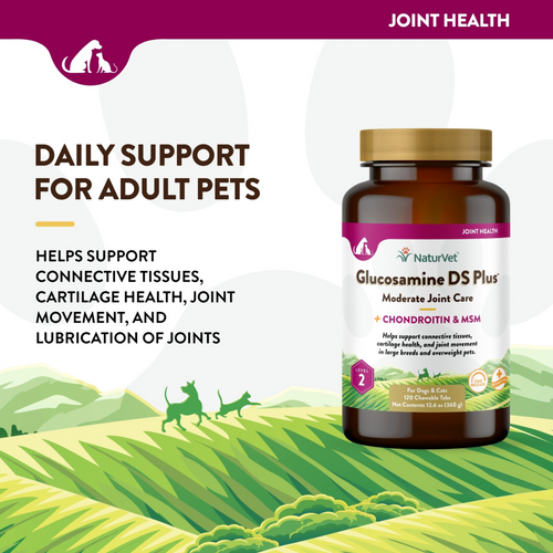 NaturVet Glucosamine DS Level 2 Tablets for Dogs