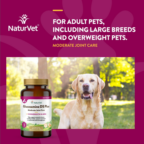NaturVet Glucosamine DS Level 2 Tablets for Dogs