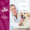NaturVet Glucosamine DS Level 2 Tablets for Dogs