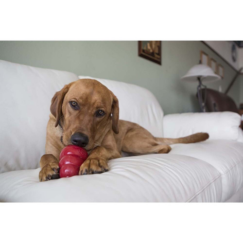 Kong Stuff'n Snacks Liver Recipe Dog Treats