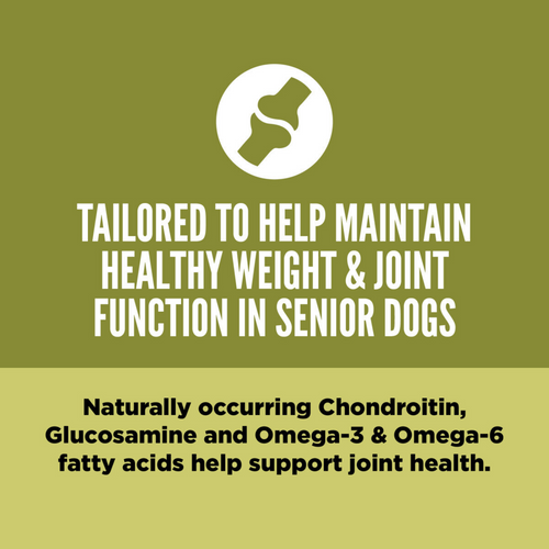Orijen Senior Dry Dog Food