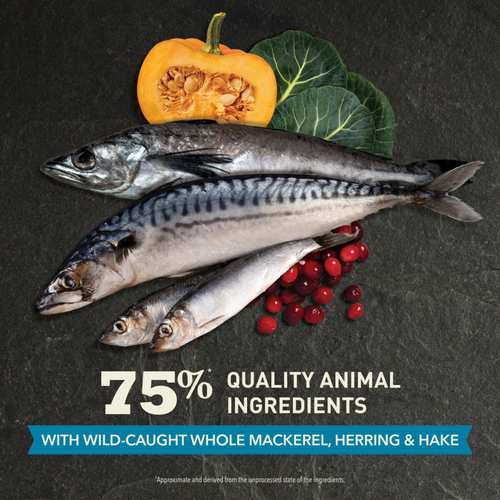 ACANA Highest Protein Wild Atlantic Dry Cat Food