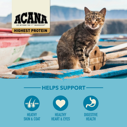 Acana Highest Protein Wild Atlantic Dry Cat Food