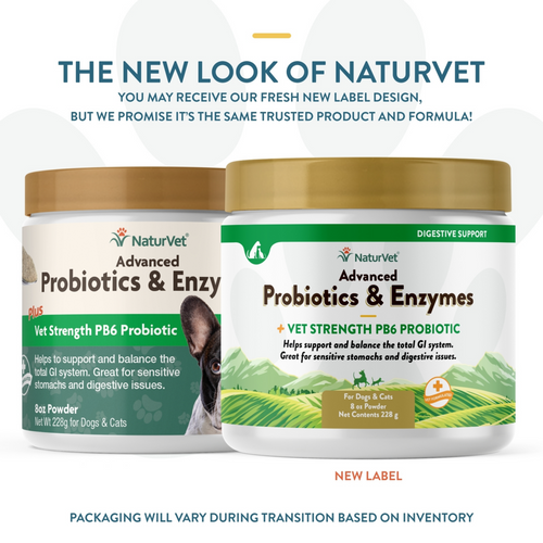 NaturVet Advanced Vet Strength PB6 Probiotics & Enzymes Sensitive Stomach & Digestive Aid Powder for Dogs & Cats