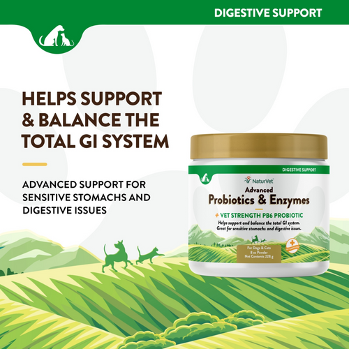 NaturVet Advanced Vet Strength PB6 Probiotics & Enzymes Sensitive Stomach & Digestive Aid Powder for Dogs & Cats