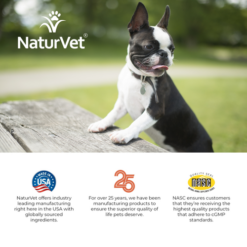 NaturVet Advanced Vet Strength PB6 Probiotics & Enzymes Sensitive Stomach & Digestive Aid Powder for Dogs & Cats
