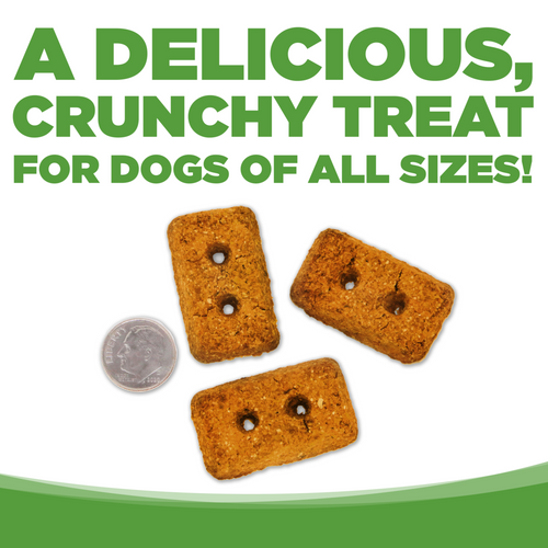 NutriSource Grain Free Chicken Biscuits Dog Treats