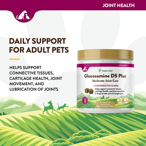 NaturVet Moderate Care Glucosamine DS Plus Soft Chews Joint Supplement for Dogs