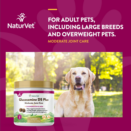 NaturVet Moderate Care Glucosamine DS Plus Soft Chews Joint Supplement for Dogs