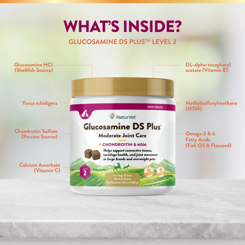 NaturVet Moderate Care Glucosamine DS Plus Soft Chews Joint Supplement for Dogs