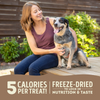 ACANA Singles Grain Free Limited Ingredient Diet Duck & Pear Formula Dog Treats
