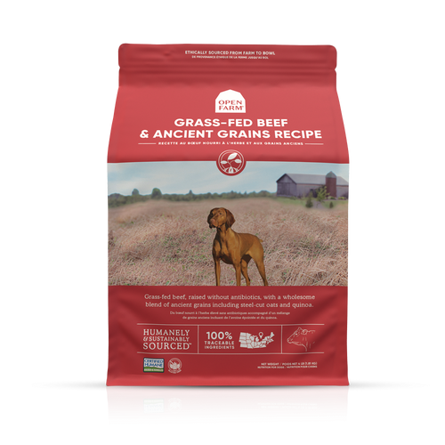 Open Farm Grass-Fed Beef & Ancient Grains Dry Dog Food