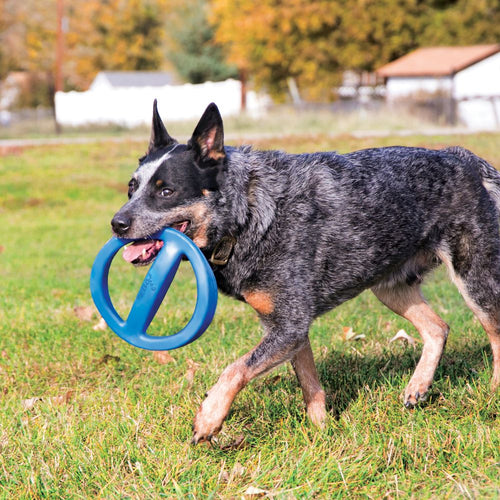 KONG ROGZ by KONG Flingz Ball w Rope Dog Toy