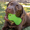 KONG ROGZ Yumz Treat Dispensing Dog Toy