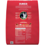 Iams Proactive Health Adult High Protein Lamb & Rice Dry Cat Food