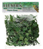 Fluker's Repta Vines English Ivy