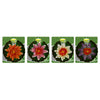 Tetra Pond Floating Water Lily Aquarium Decor