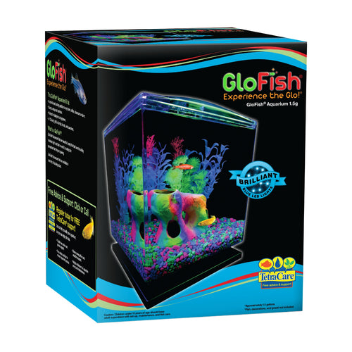 GloFish Aquarium Kit