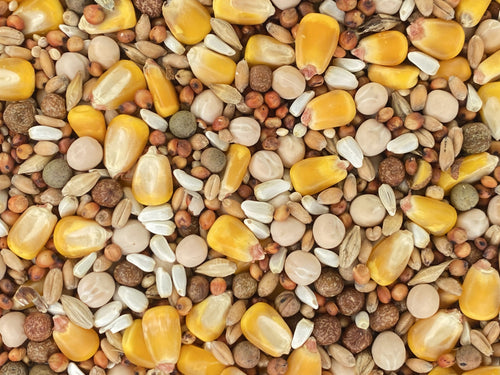 Higgins Versele-Laga Classic Pigeon Food 15% With Corn