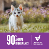 ORIJEN Grain-Free Kitten Recipe Dry Cat Food